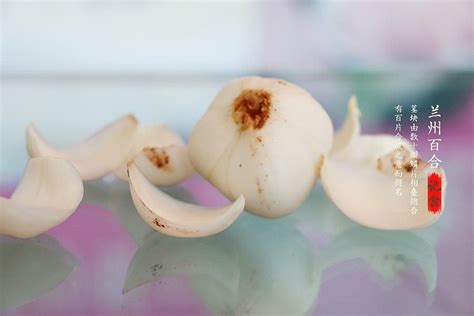 蓮花水缸風水|百合的營養價值與食用禁忌｜潤肺止咳美容養顏當季必囤乾貨，另 